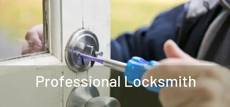  Professional Locksmith 